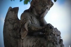 Galeria MM Cemitério São João Nepomuceno