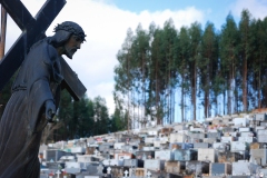 Galeria MM Cemitério São João Nepomuceno